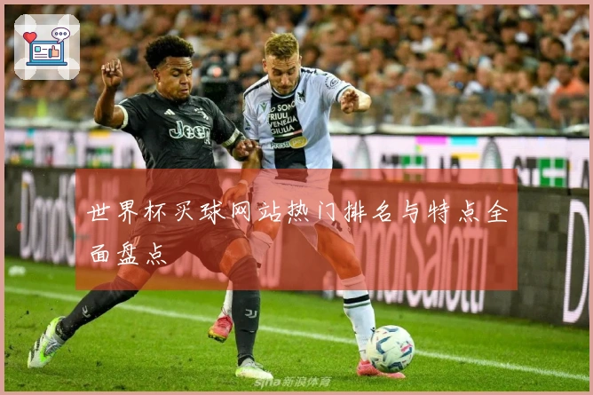 世界杯买球网站热门排名与特点全面盘点