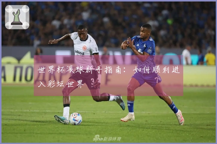 世界杯滚球新手指南：如何顺利进入彩坛世界