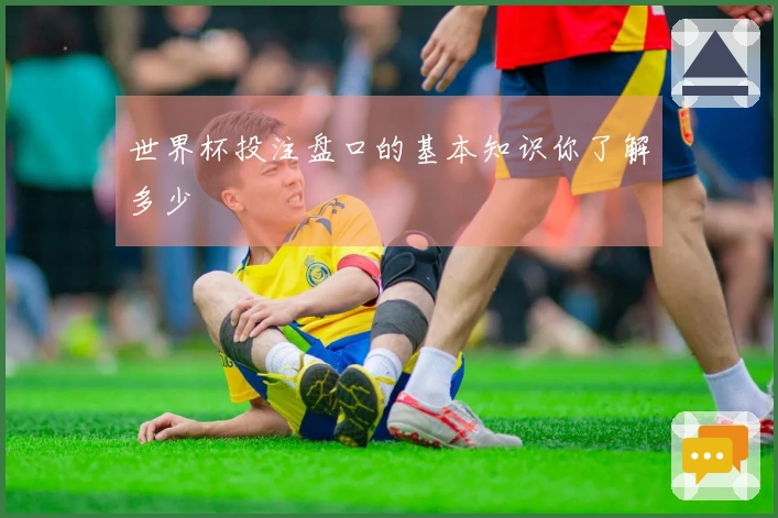 世界杯投注盘口的基本知识你了解多少