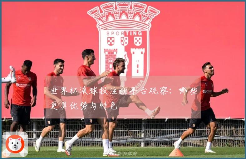 世界杯滚球投注新平台观察：哪些更具优势与特色
