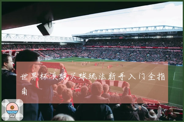 世界杯滚球买球玩法新手入门全指南