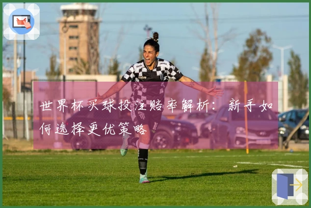 世界杯买球投注赔率解析:新手如何选择更优策略