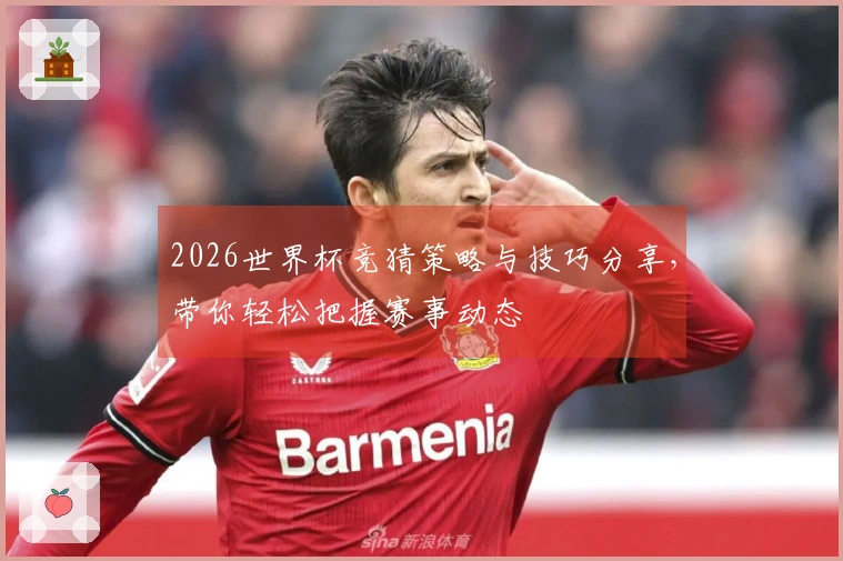 2026世界杯竞猜策略与技巧分享，带你轻松把握赛事动态