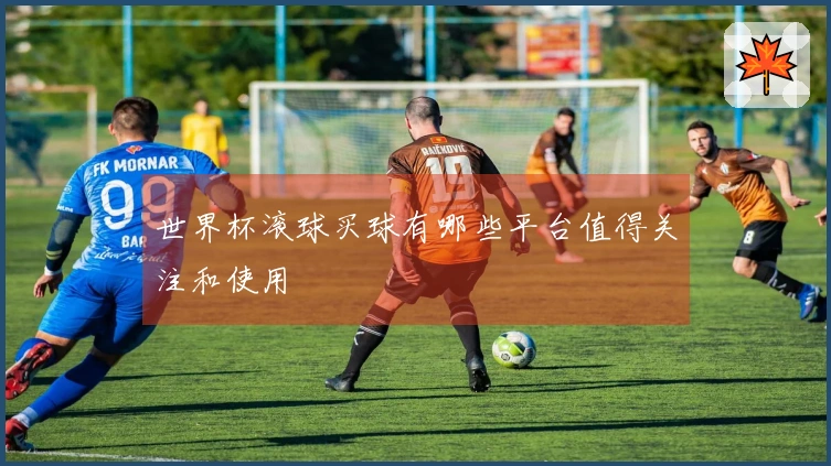 世界杯滚球买球有哪些平台值得关注和使用