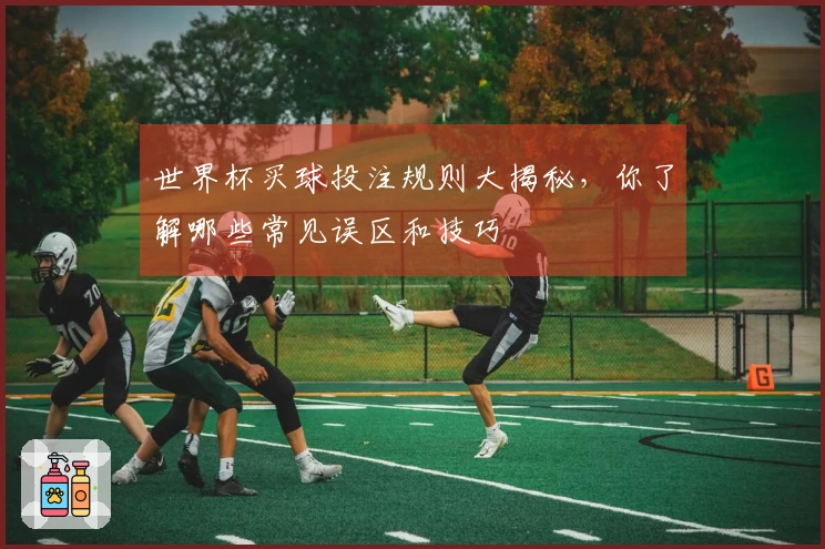 世界杯买球投注规则大揭秘，你了解哪些常见误区和技巧