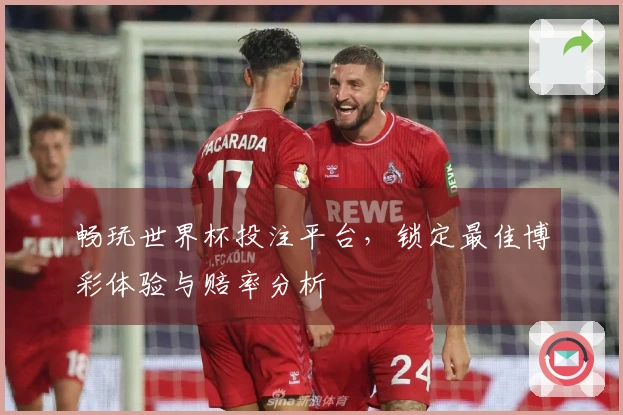 畅玩世界杯投注平台,锁定最佳博彩体验与赔率分析
