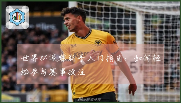 世界杯滚球新手入门指南，如何轻松参与赛事投注