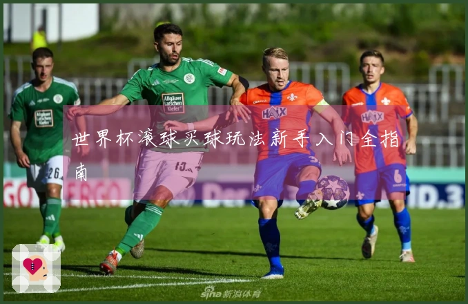 世界杯滚球买球玩法新手入门全指南